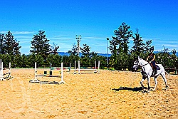 	Toskana Villa auf Weingut mit Pferden, Tennis & Wellness - es gibt die Möglichkeit mit Lehrer zu zu reiten  