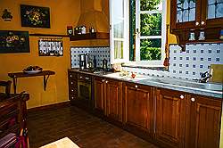 	Wohnküche mit Kamin und Esstisch