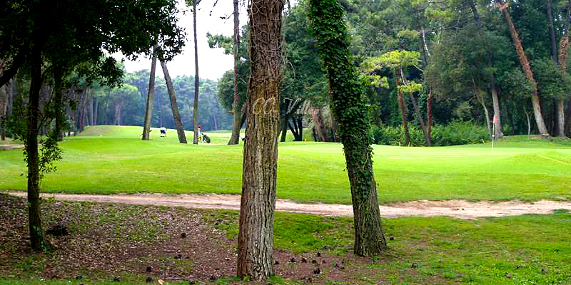 Tirrenia - Golf Course close to the sea-side