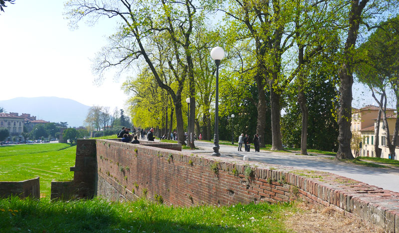 Lucca Stadtmauer - Spaziergänger am Sonntag