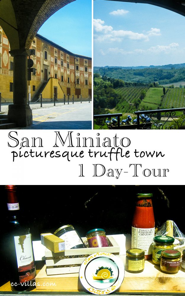 Pisa and San Miniato the Truffle town in the picturesque landscape - one day tour