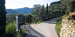 	Tuscany cottage for families - pets wellcome