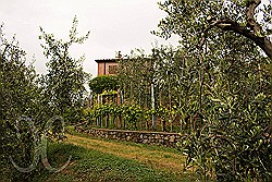 	Kleines Ferienhaus zwischen Pistoia und Lucca 2 Personen