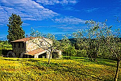 	Exklusives Ferienhaus Toskana unterhalb der Weinberge