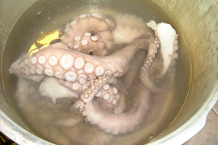 Fish soup from Viareggio - octopus